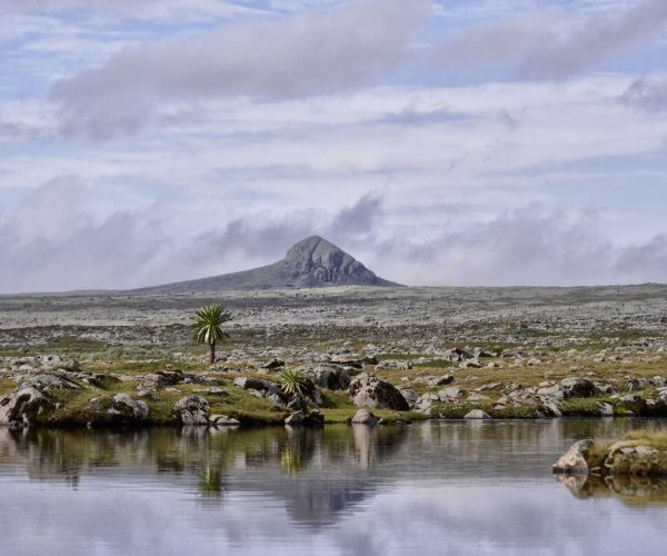 15-Day Wonders Of Ethiopia Luxury Tour
