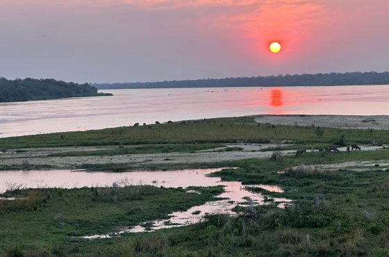 Exhilarating 5-Day Mid-Range Safari In Jinja & Murchison Falls NP