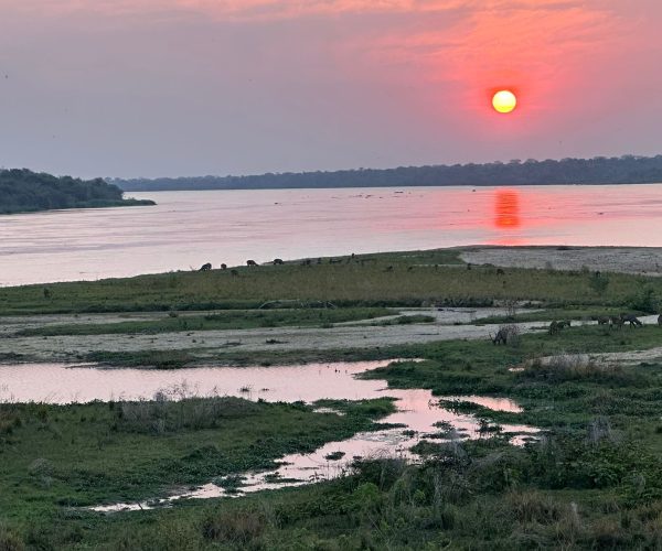 Exhilarating 5-Day Mid-Range Safari In Jinja & Murchison Falls NP