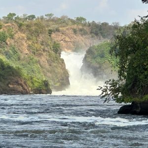 Exhilarating 5-Day Budget Safari In Jinja & Murchison Falls NP
