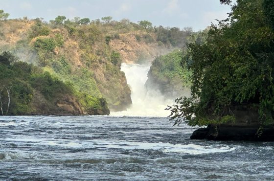 Exhilarating 5-Day Budget Safari In Jinja & Murchison Falls NP