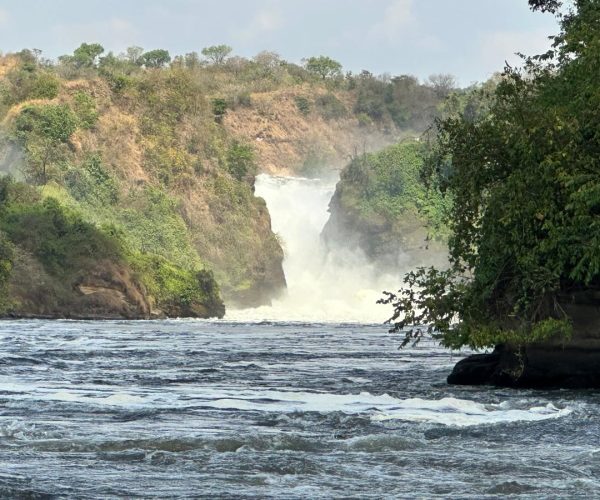 Exhilarating 5-Day Budget Safari In Jinja & Murchison Falls NP