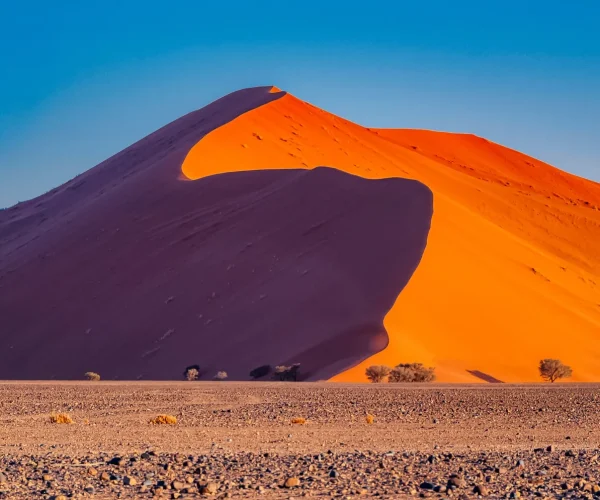 15 Day Namibia Safari Adventure