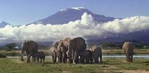 3-Day Thrilling Amboseli National Park Luxury Tour