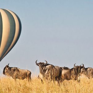 10-Day Thrilling Mid-Range Madagascar & Masai Mara Experience