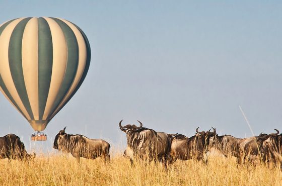 10-Day Thrilling Mid-Range Madagascar & Masai Mara Experience