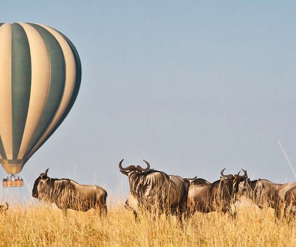 10-Day Thrilling Mid-Range Madagascar & Masai Mara Experience
