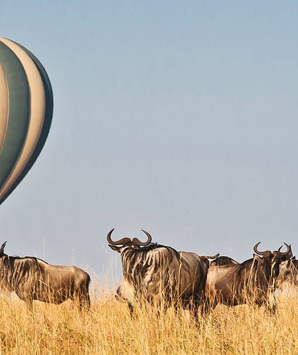 10-Day Thrilling Mid-Range Madagascar & Masai Mara Experience