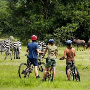 4-Day Scenic Mid-Range Safari In Queen & Lake Mburo