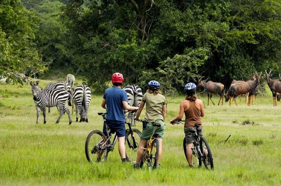 4-Day Scenic Mid-Range Safari In Queen & Lake Mburo