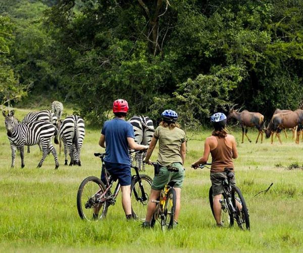 4-Day Scenic Mid-Range Safari In Queen & Lake Mburo