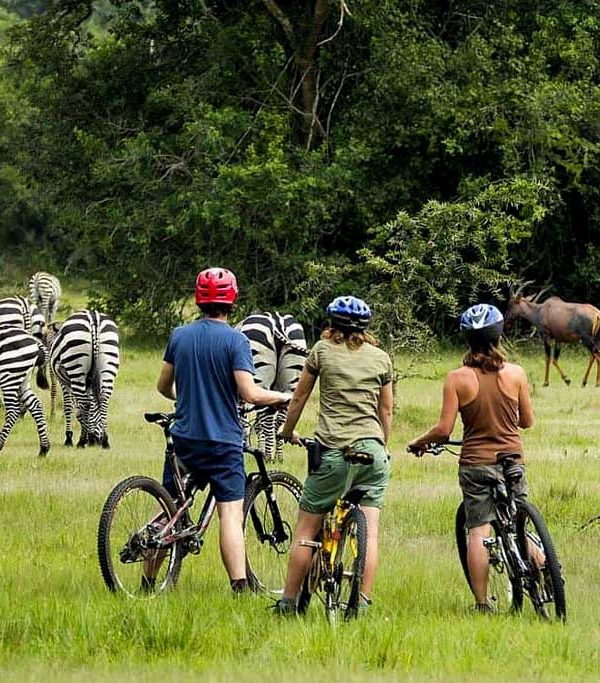 4-Day Scenic Mid-Range Safari In Queen & Lake Mburo