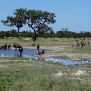 8-Day Thrilling Safari in Zambia, Botswana, Zimbabwe & Ethiopia