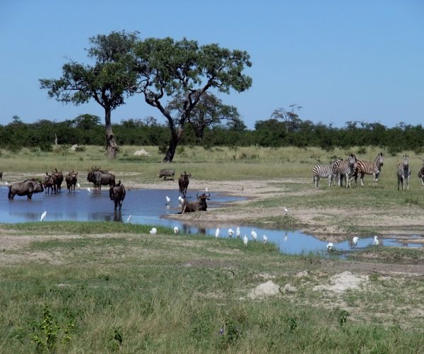 8-Day Thrilling Safari in Zambia, Botswana, Zimbabwe & Ethiopia