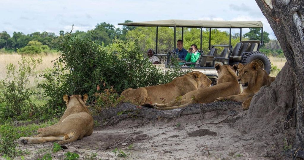 10-Day Thrilling Madagascar & Chobe NP Safari