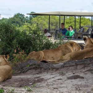 10-Day Thrilling Madagascar & Chobe NP Safari
