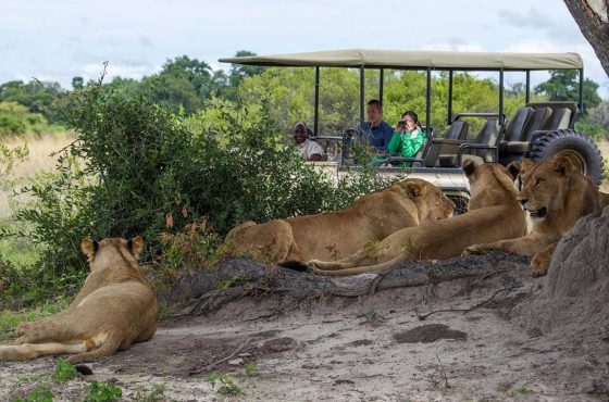 10-Day Thrilling Madagascar & Chobe NP Safari