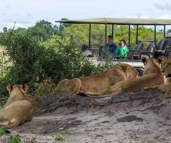 10-Day Thrilling Madagascar & Chobe NP Safari