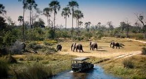 Chobe National Park