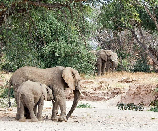 14 Day Self Drive Namibia Thrilling Adventure Tour