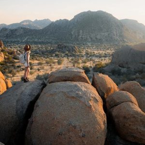 12-Day Lively Etosha, Swakopmund & Damaraland Mid-Range Tour, Flamingo Lagoon Tours, Waterberg National Park Tours