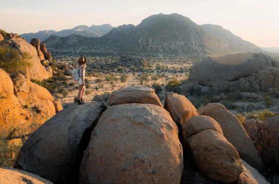 12-Day Lively Etosha, Swakopmund & Damaraland Mid-Range Tour