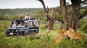 Kafue Zambia