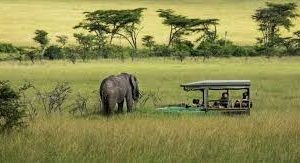 20-Day Astonishing Kenya & Tanzania Safari