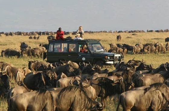 10-Day Thrilling Luxury Madagascar & Masai Mara Experience