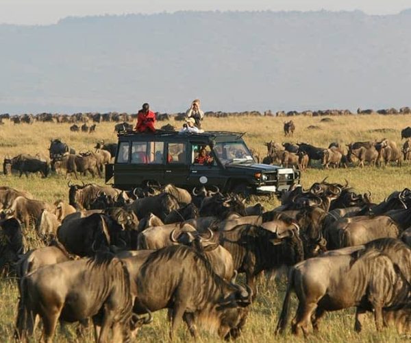 10-Day Thrilling Luxury Madagascar & Masai Mara Experience