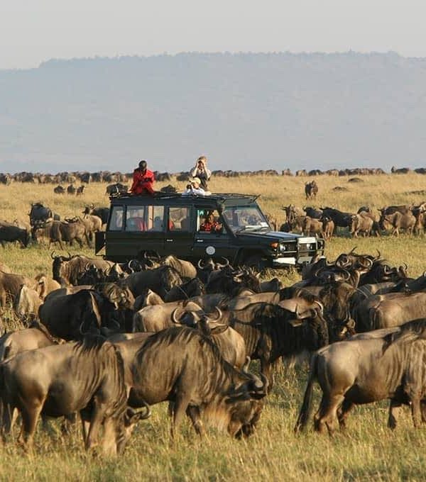 10-Day Thrilling Luxury Madagascar & Masai Mara Experience