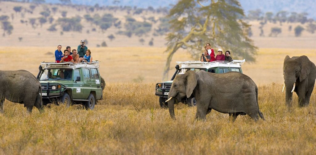 2-Day Thrilling Luxury Tarangire & Ngorongoro Safari