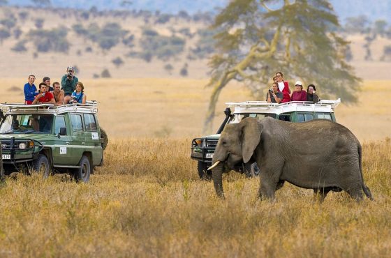 2-Day Thrilling Luxury Tarangire & Ngorongoro Safari