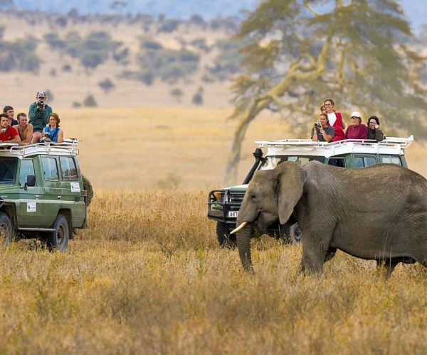 2-Day Thrilling Luxury Tarangire & Ngorongoro Safari