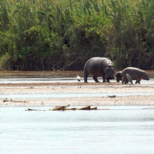 12-Days Discovering The Beauty Of Burundi