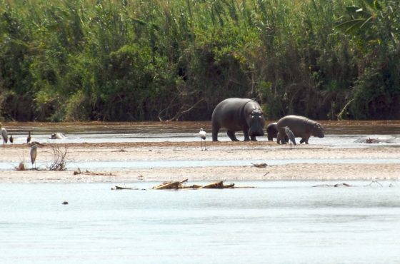 12-Days Discovering The Beauty Of Burundi