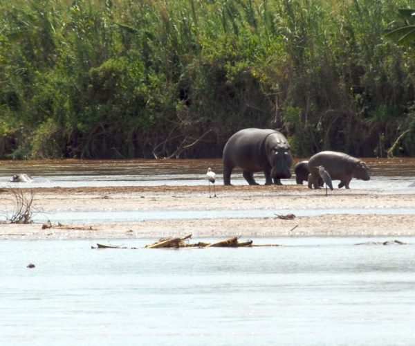 12-Days Discovering The Beauty Of Burundi