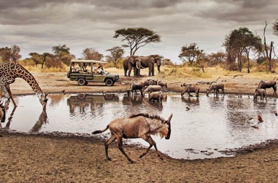 3-Day Thrilling Mid-Range Safari In Serengeti National Park