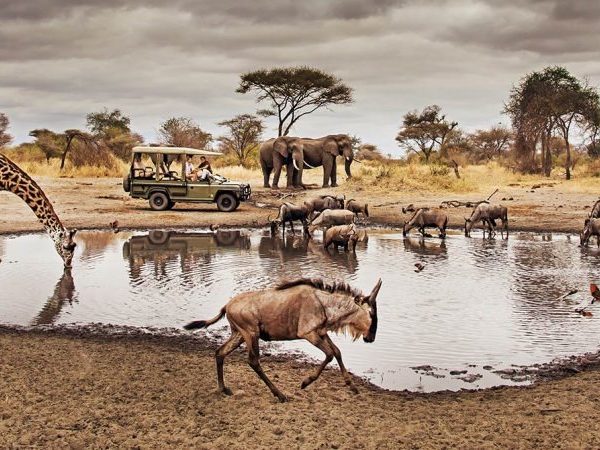 3-Day Thrilling Mid-Range Safari In Serengeti National Park