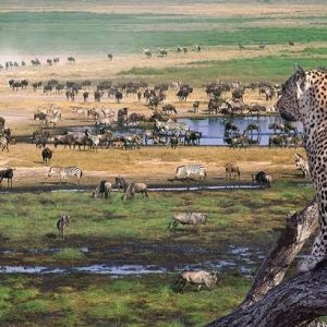 3-Day Thrilling Luxury Safari In Serengeti National Park