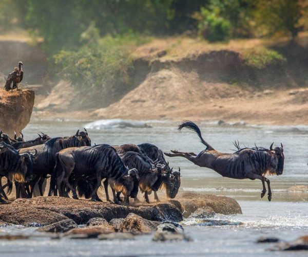 3-Day Thrilling Budget Safari In Serengeti National Park