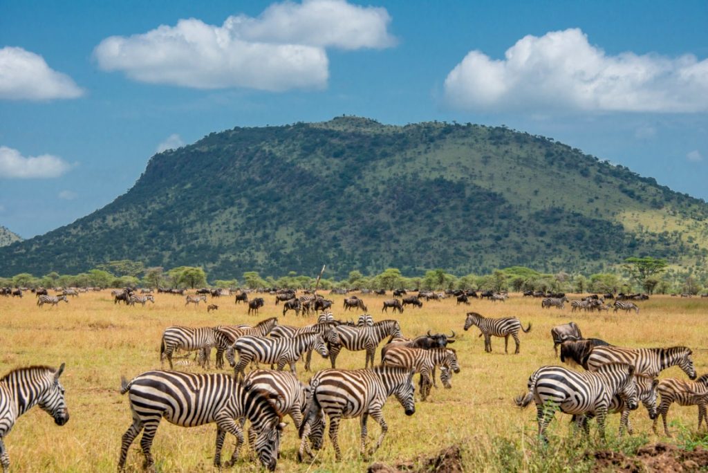 2-Day Thrilling Mid-Range Tarangire & Ngorongoro Safari