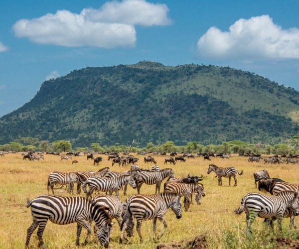 2-Day Thrilling Mid-Range Tarangire & Ngorongoro Safari