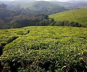 3 Days Best of Burundi Experience