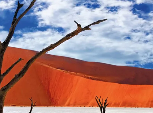 9-Day Best Scenic Namibia Fly In Safari