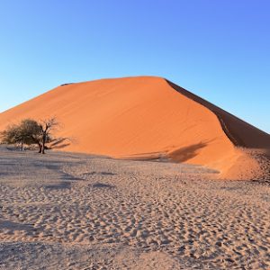 Sossusvlei Tours