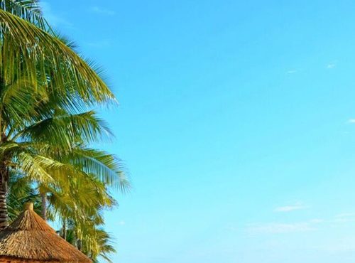 7-Day Thrilling Mid-Range Safari In Kenya And Diani Beach