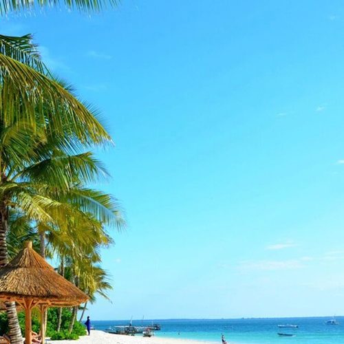 7-Day Thrilling Mid-Range Safari In Kenya And Diani Beach