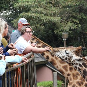 Giraffe Centre, Nairobi