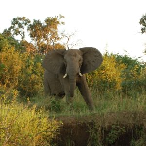 9-Day Incredible Mid-Range Tour To Zambia